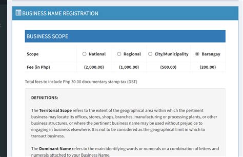 dominant name in dti meaning|Requirements for DTI Permit and Business .